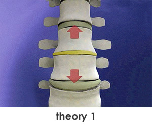 theory1